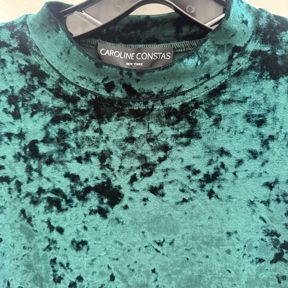 Caroline Constas Stretch Velvet Dress